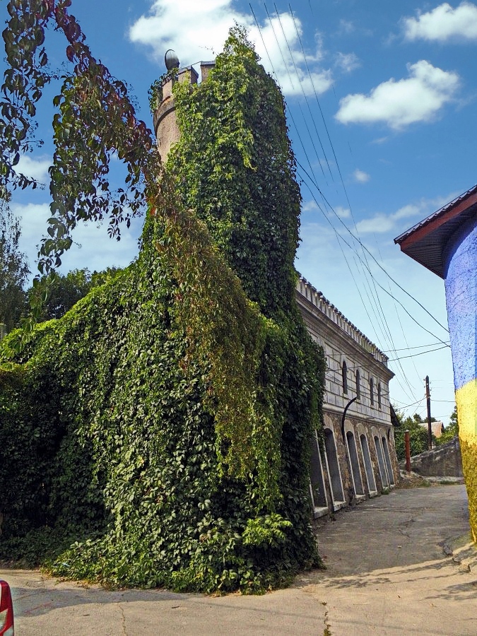 P4167791