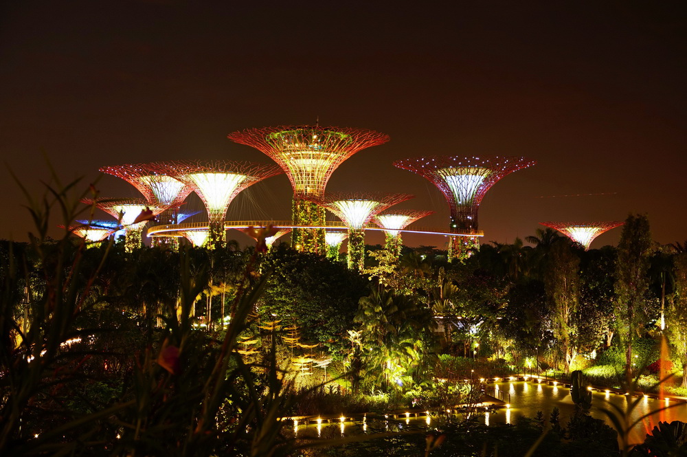 Gardens by the Bay ("Сади у затоки") в Сінгапурі