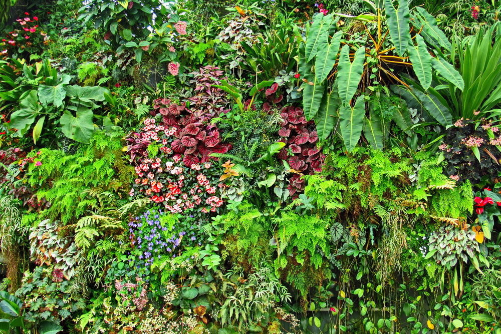 Gardens by the Bay ("Сади у затоки") в Сінгапурі