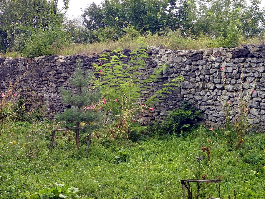 P4157528