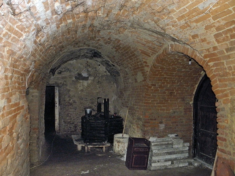 P4157535