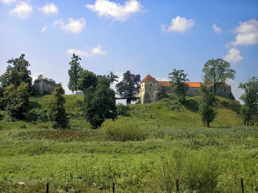 P8069133