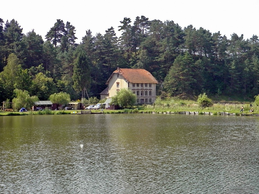 P8069119
