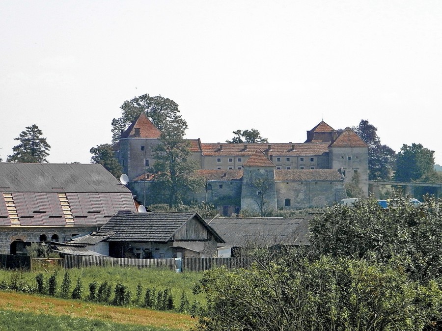 P8069113