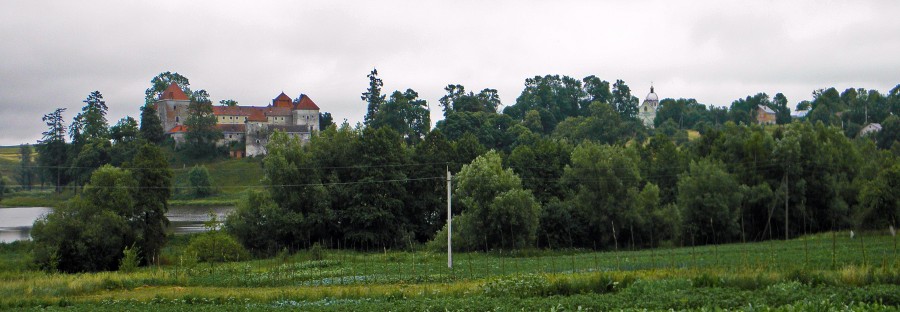 P6200338