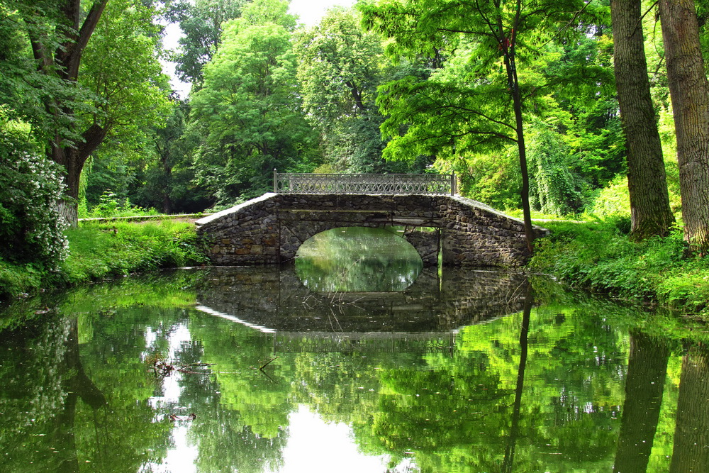 Парк у Браїлові