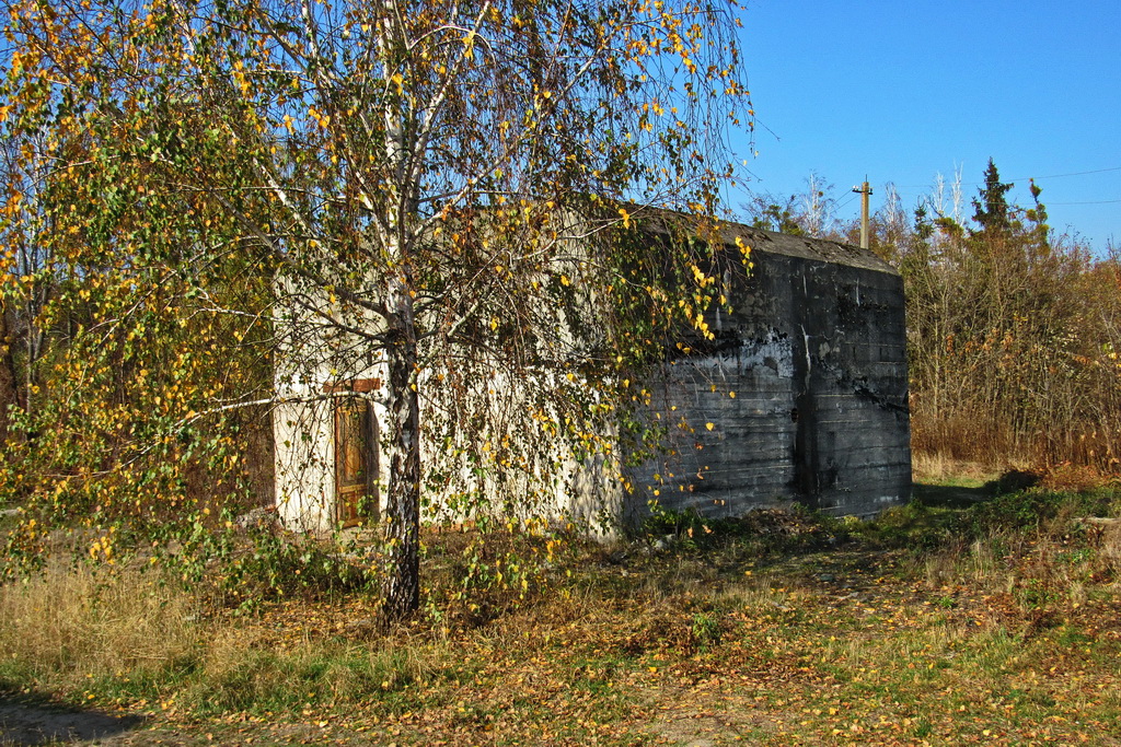 Бункер Гіммлера в Гуйві