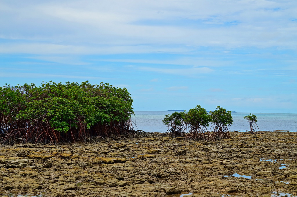 Острів Пангаїмоту (Pangaimotu island)