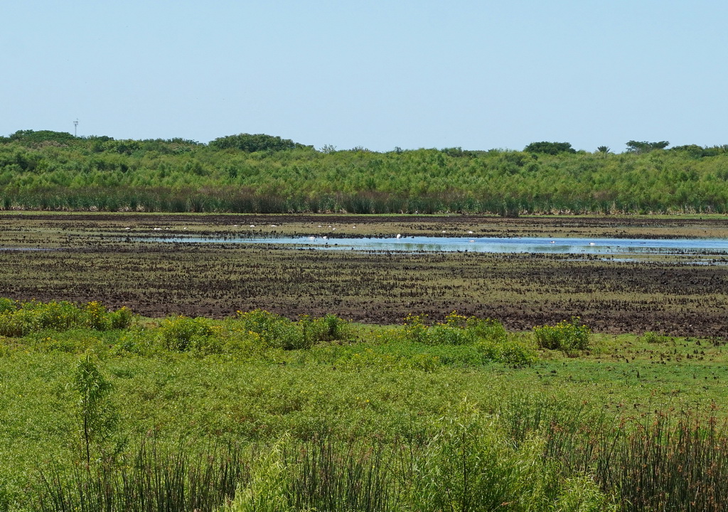 Reserva Ecologica de Buenos Aires Reserva Ecologica de Buenos Aires