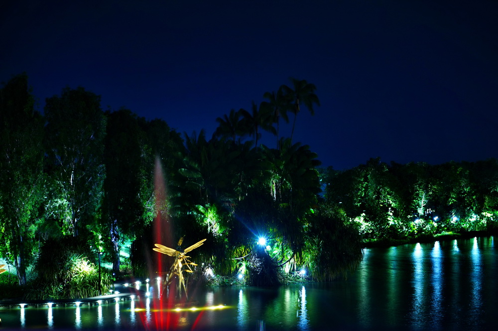 Нічний Сінгапур: Gardens of the Bay