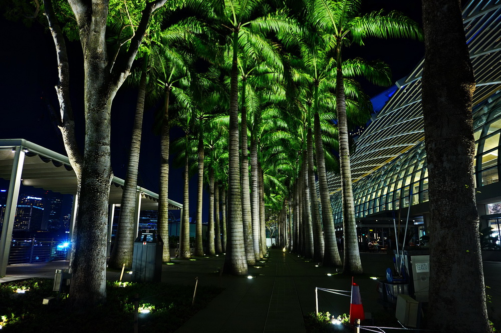 Нічний Сінгапур: Marina Bay Sands