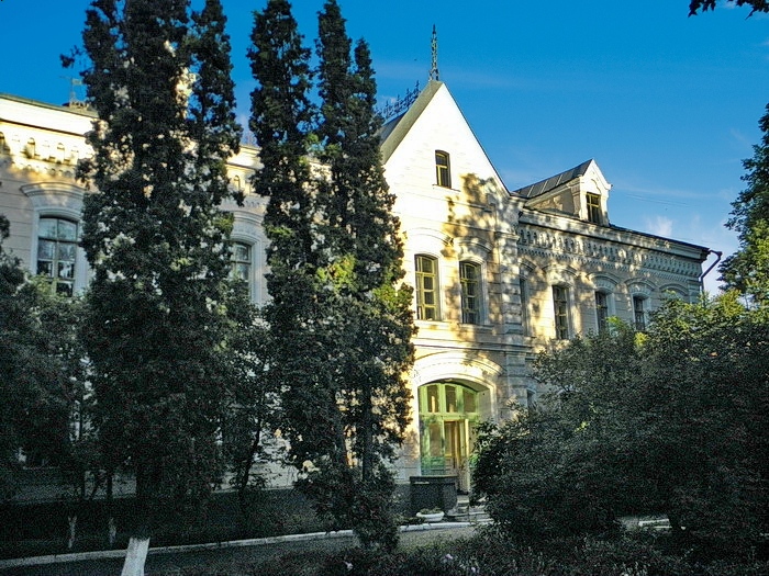 Дитячий притулок.JPG