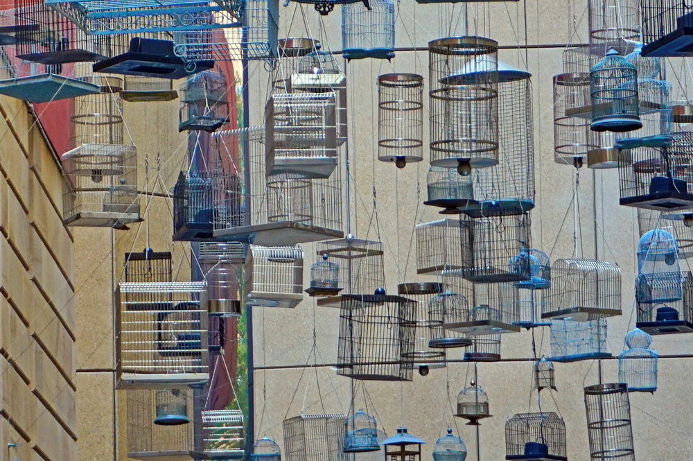 Сідней: Angel Place