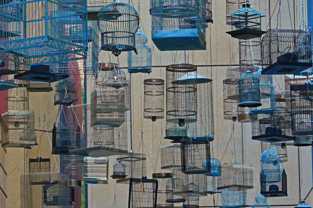 Сідней: Angel Place