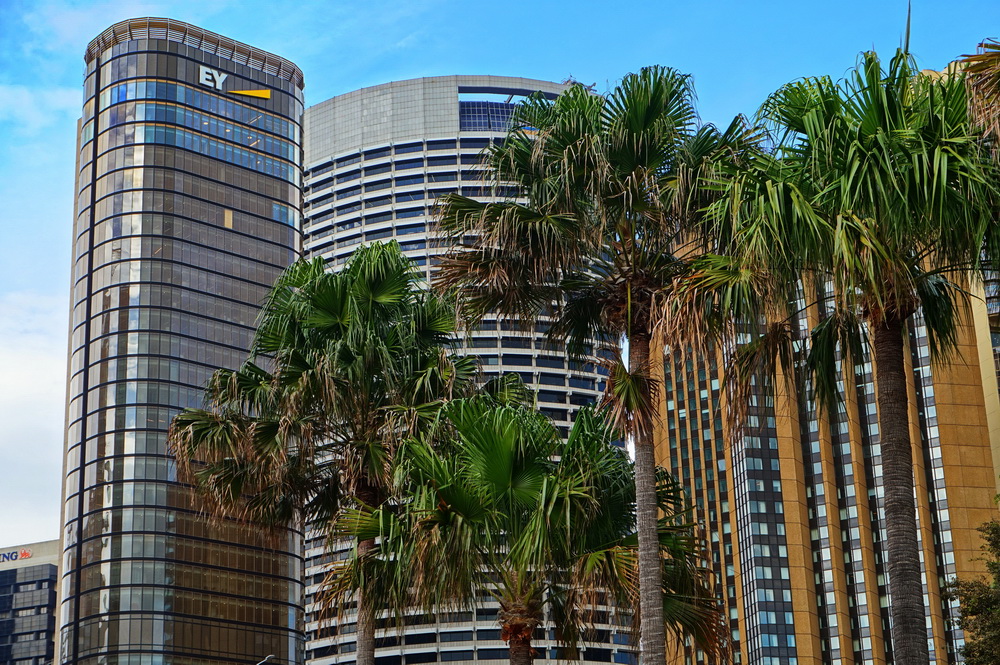 Сідней: Circular Quay
