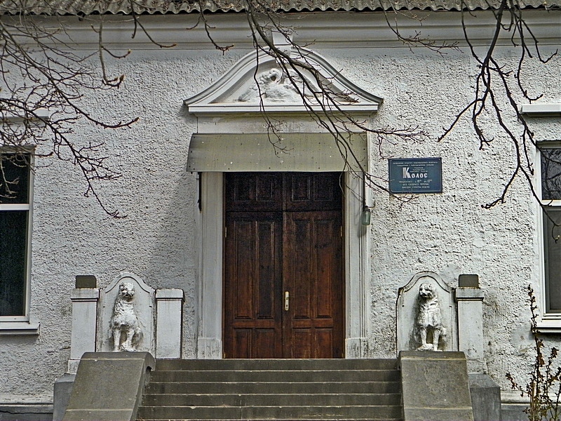 PC190611.JPG